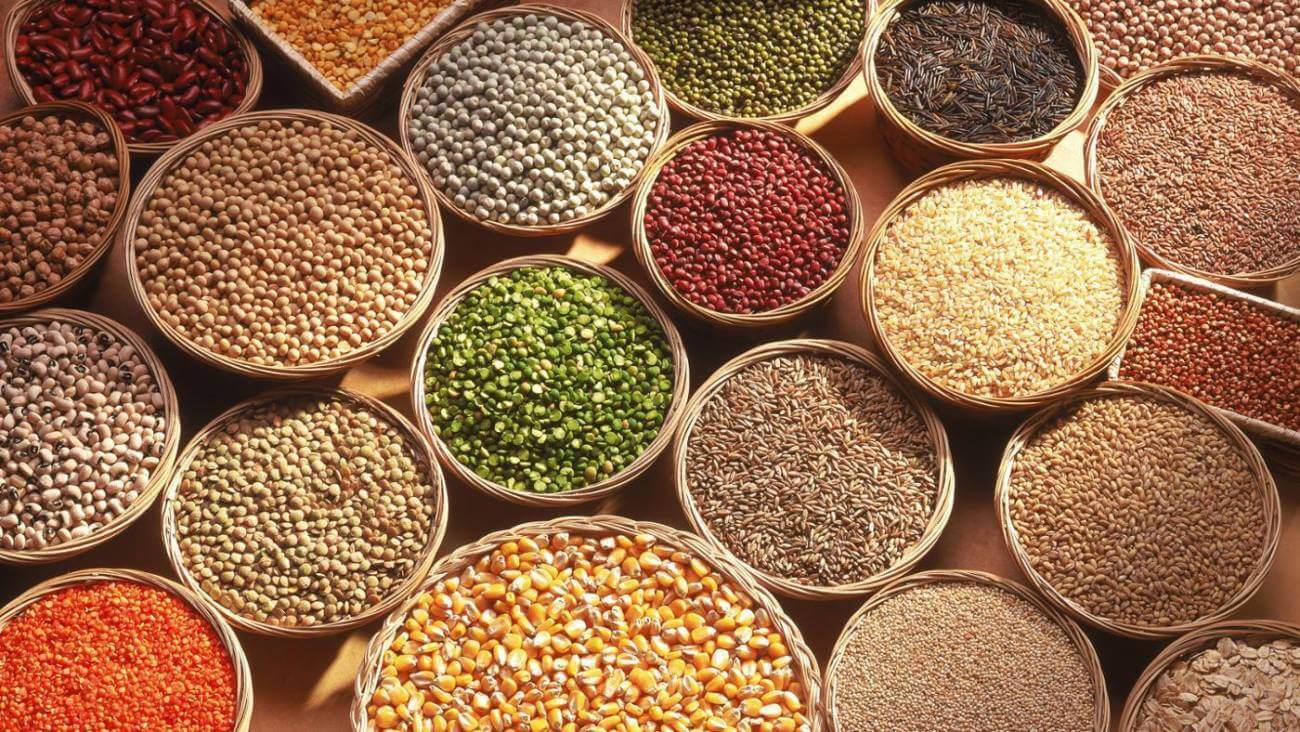 india-grains