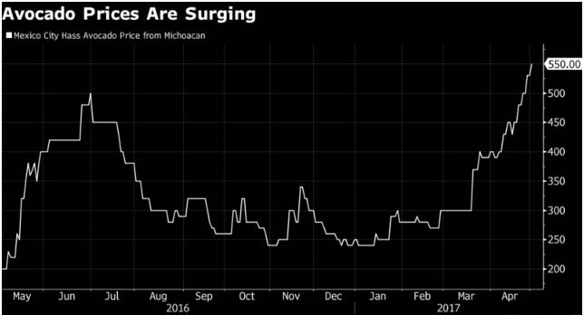 Avocado Prices