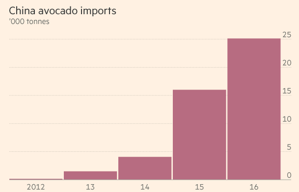 China Avocado Imports