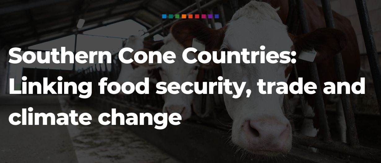 Linking food security, trade and climate change. The key role of Southern Cone countries