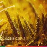 TXF Global Commodity Finance 2020