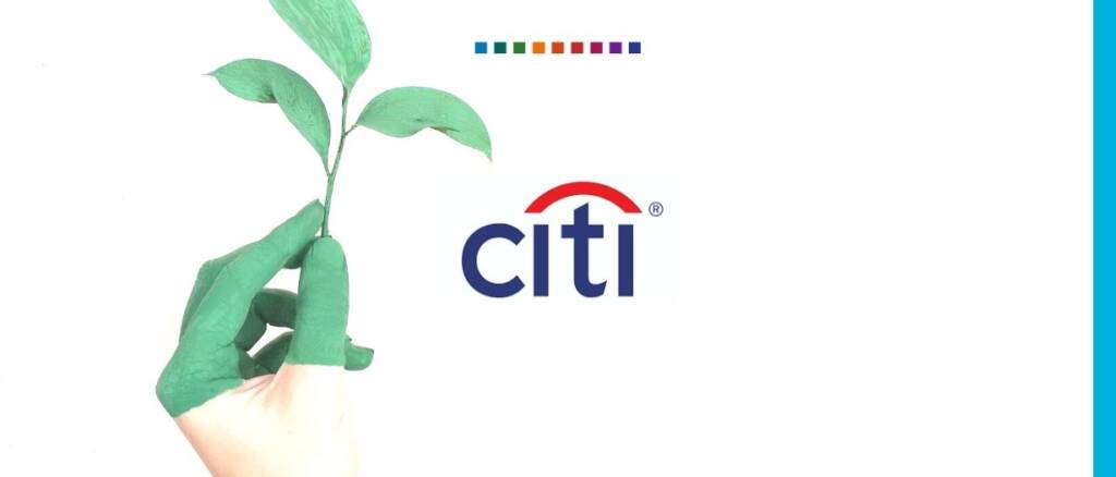 Citi Green Bonds