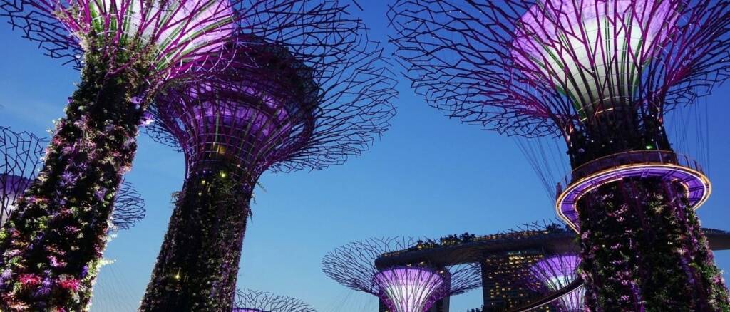 Singapore Gardne