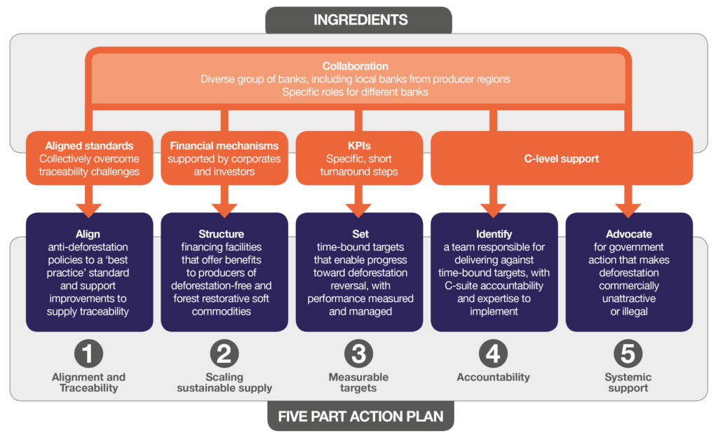 Banking Beyond Deforestation 