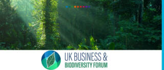 UK Business & Biodiversity Forum (UKBBF) formed ahead of COP26 to combat biodiversity losses, worth $33tn per year