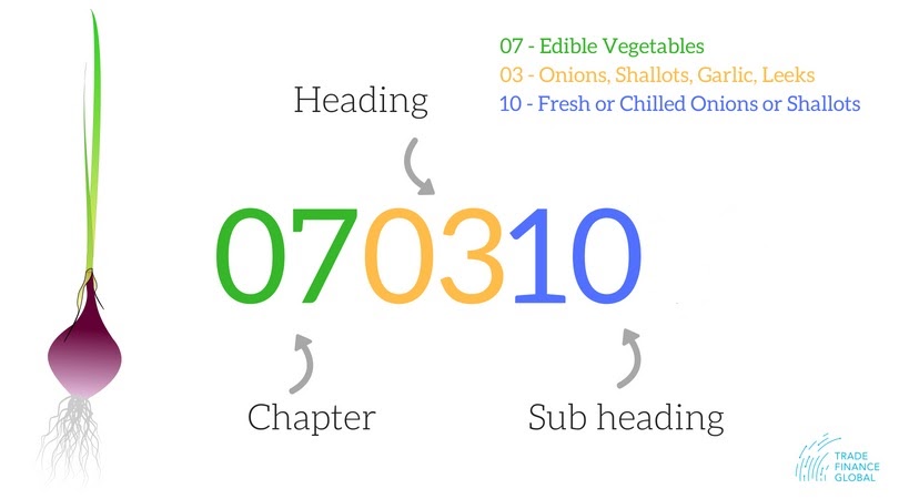 HS code example for an Onion