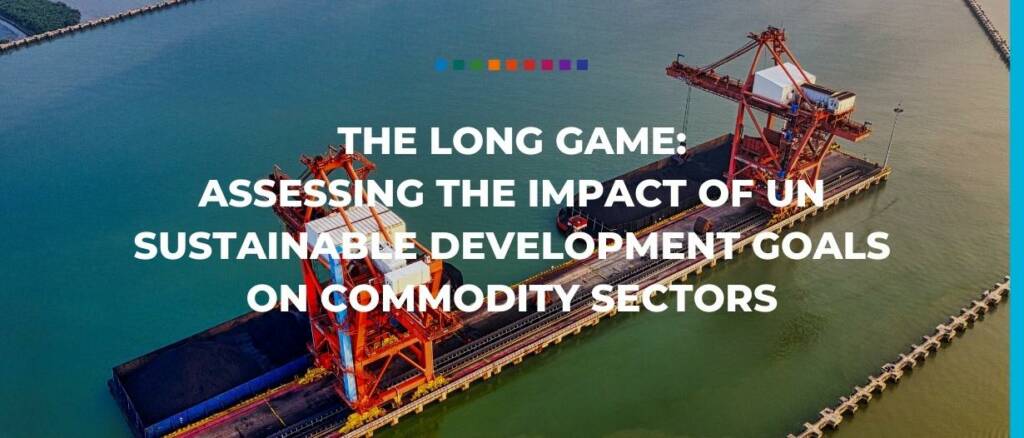 The long game assessing the impact of UN sustainable development goals on commodity sectors