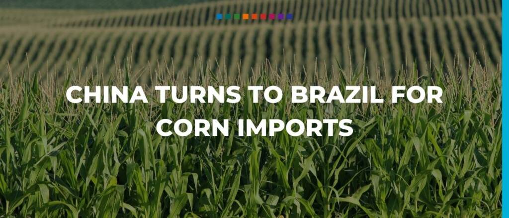 China turns to Brazil for corn imports