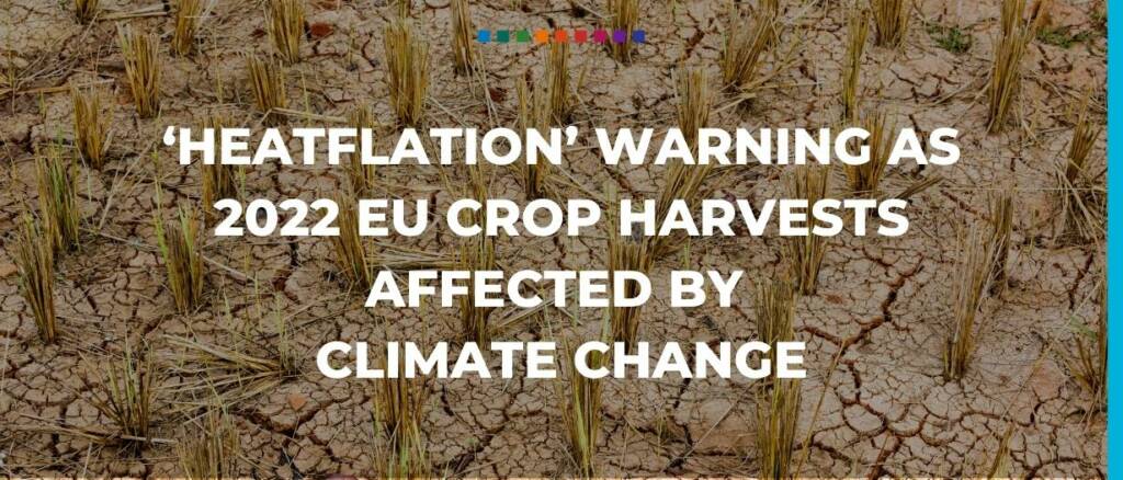 Heatflation warning as 2022 EU crop harvests affected by climate change