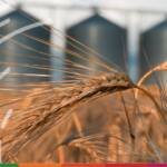 To agriculture and beyond: a look at how IoT technology is transcending industry silos