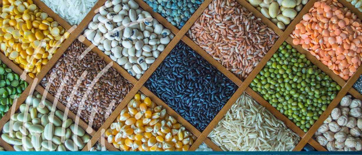 Brazil and India explore long-term trade agreement for pulses