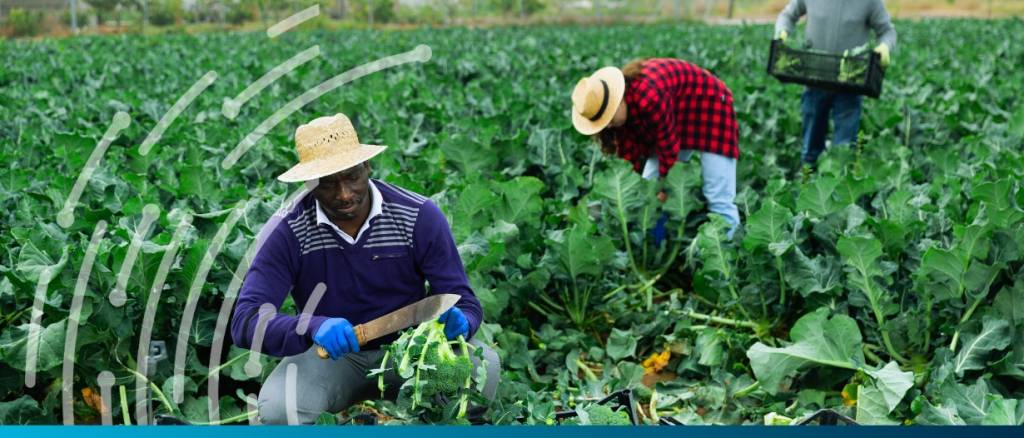 British, Swedish, and Norwegian development banks collaborate on $85mn investment in agribusinesses in Africa WEB